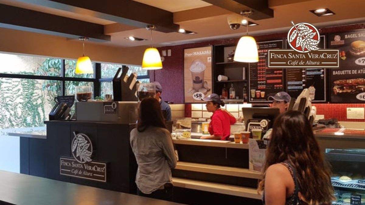 Descubre el sabor auténtico del café mexicano con Finca Santa VeraCruz 1 Descubre el sabor auténtico del café mexicano con Finca Santa VeraCruz