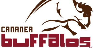 Franquicia Cananea Buffalos Steak & Wings 12 LOGO BUFFALOS 72 DPI