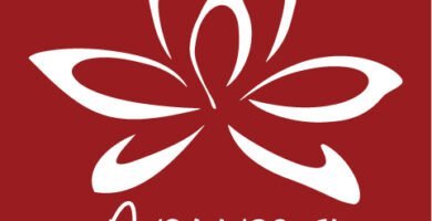 Franquicia Aruma 18 Logo Aruma AMF 72 ppi